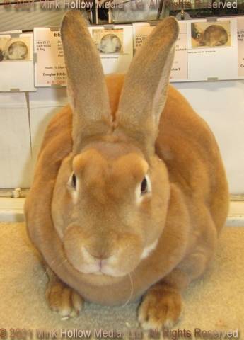 erica-2021-08-23-18-08-124_wm.jpg erica-2021-08-23-18-08-124_wm.jpg