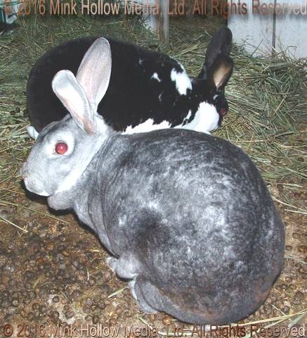 Kiana & Louise, 2004 Kiana & Louise, 2004