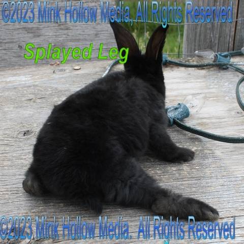 2009-08-25_13-08-45_wm.jpg 2009-08-25_13-08-45_wm.jpg