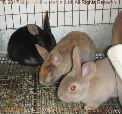 aid-2017-10-26-17-56-313_wm.jpg aid-2017-10-26-17-56-313_wm.jpg