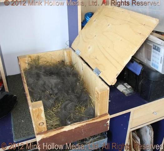 Wooden nestbox: Wooden ones made using plywood, 1×4“ boards, 2×2”. They
measure approximately 18“ deep x 12” wide x 9“ high. I have built a few
that are higher (about 12”) for my bigger does. The does love to sit on top,
so the lid is important. As I breed year-round, I also think the does help to... Wooden nestbox: Wooden ones made using plywood, 1×4“ boards, 2×2”. They
measure approximately 18“ deep x 12” wide x 9“ high. I have built a few
that are higher (about 12”) for my bigger does. The does love to sit on top,
so the lid is important. As I breed year-round, I also think the does help to...