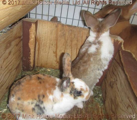 aid-2017-10-26-17-56-08_wm.jpg aid-2017-10-26-17-56-08_wm.jpg