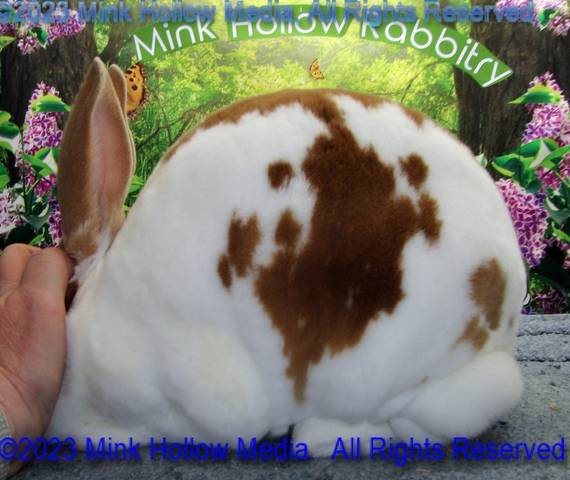 0-main.jpg 0-main.jpg