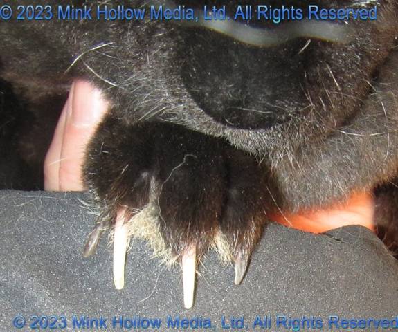 mismatched-toenails-2019-08-10-15-57-30_1_wm.jpg mismatched-toenails-2019-08-10-15-57-30_1_wm.jpg