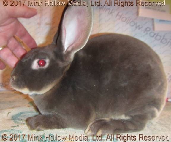 0-main.jpg 0-main.jpg