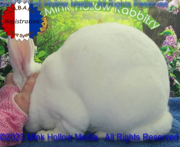 0-main.jpg 0-main.jpg