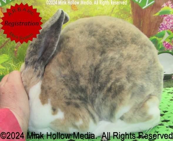 0-main.jpg 0-main.jpg