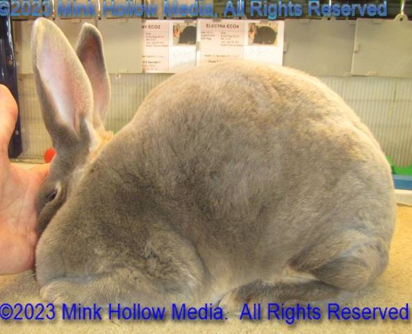 0-main.jpg 0-main.jpg