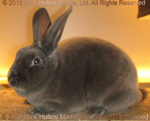 0-main.jpg 0-main.jpg