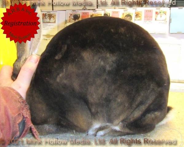 0-main.jpg 0-main.jpg