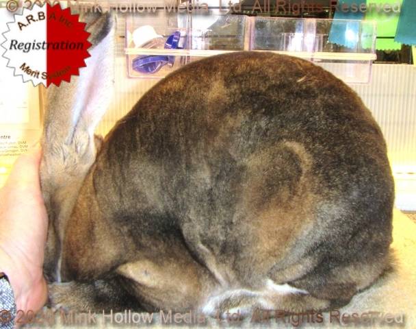 0-main.jpg 0-main.jpg