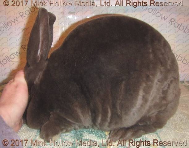 0-main.jpg 0-main.jpg