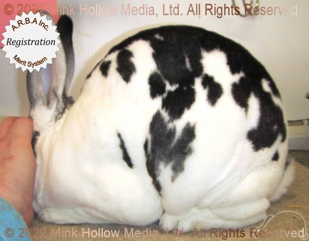 0-main.jpg 0-main.jpg