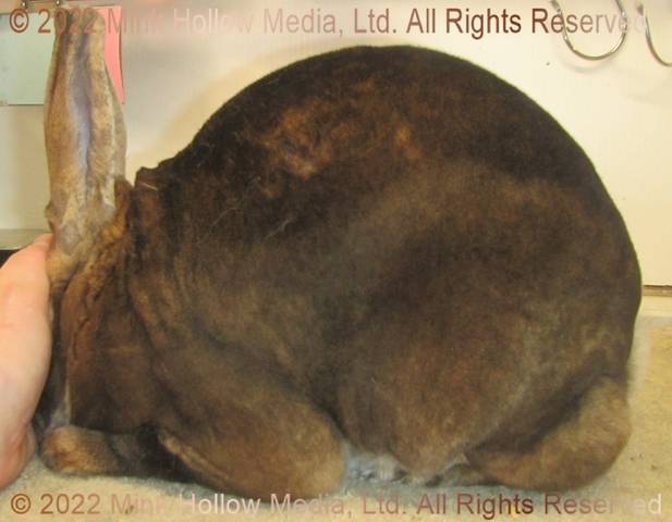 0-main.jpg 0-main.jpg