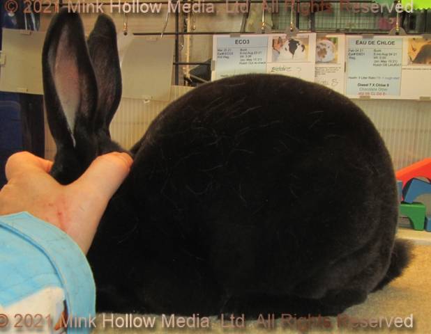 0-main.jpg 0-main.jpg