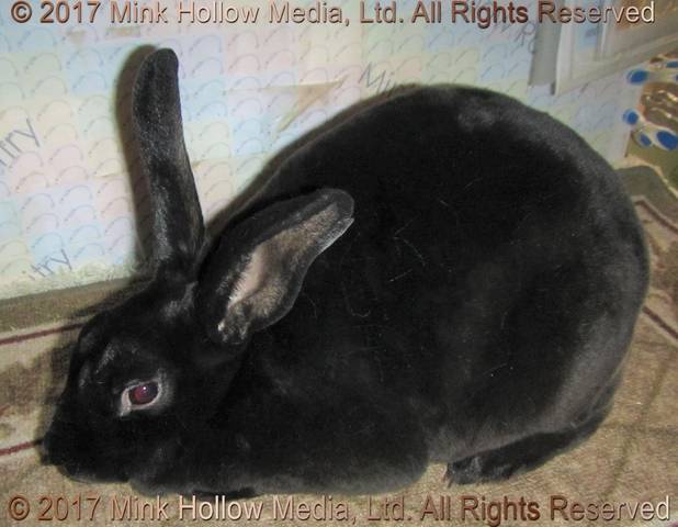 0-main.jpg 0-main.jpg