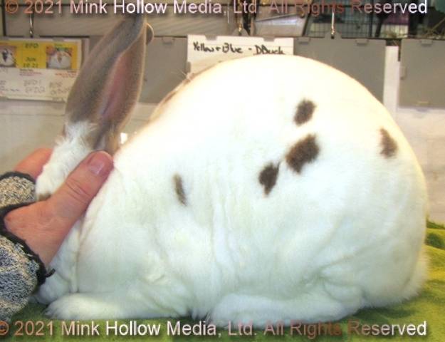 0-main-0.jpg 0-main-0.jpg