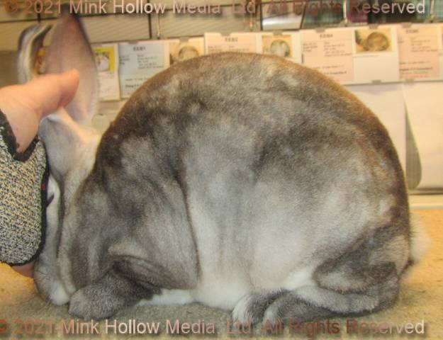 0-main.jpg 0-main.jpg