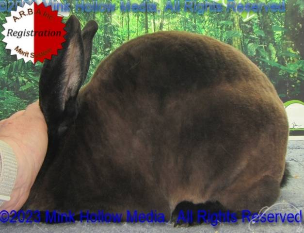 0-main.jpg 0-main.jpg