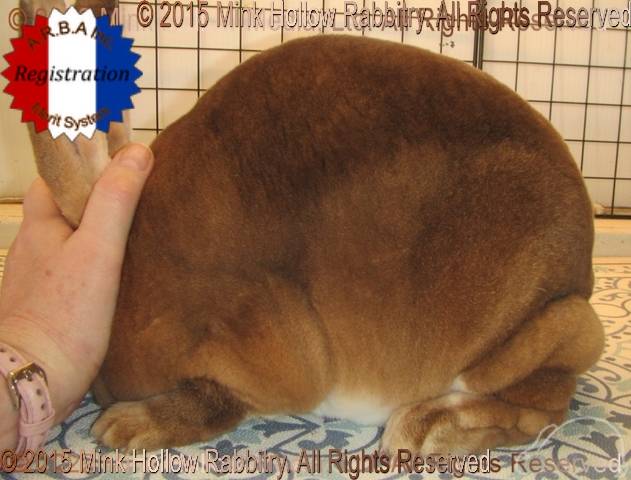 0-main.jpg 0-main.jpg