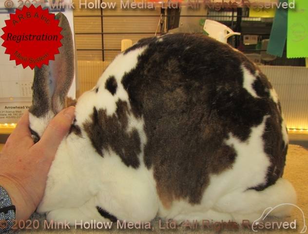 0-main.jpg 0-main.jpg