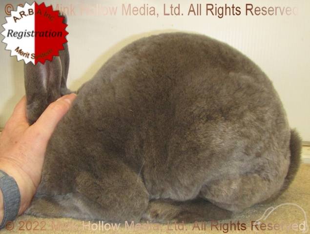 0-main.jpg 0-main.jpg