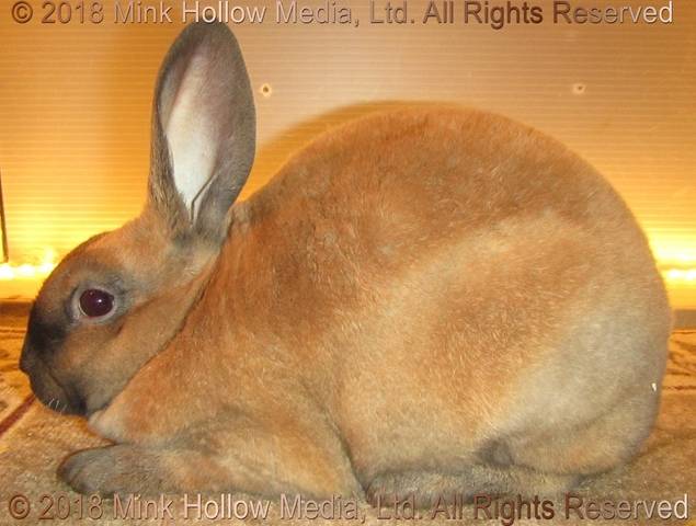 0-main.jpg 0-main.jpg