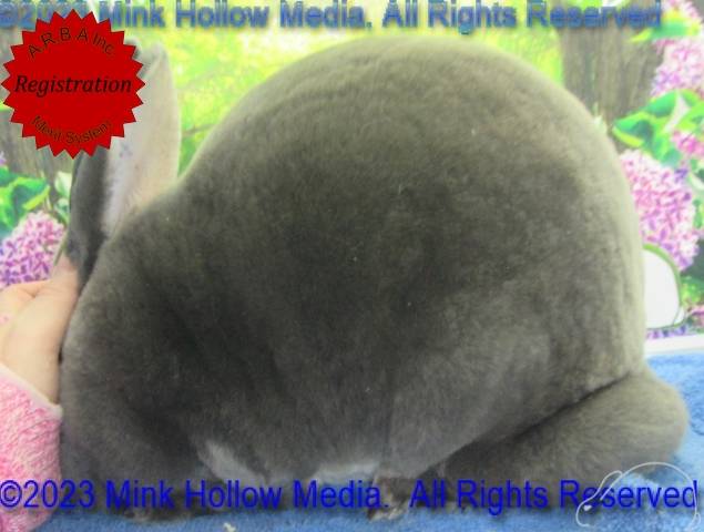 0-main.jpg 0-main.jpg