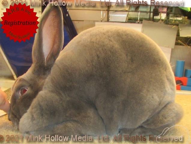 0-main.jpg 0-main.jpg