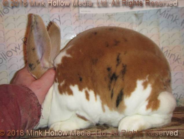 0-main.jpg 0-main.jpg