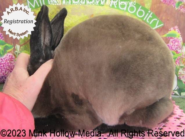 0-main.jpg 0-main.jpg