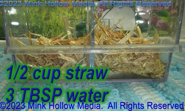 2023-07-26-13-22-50_wm.jpg 2023-07-26-13-22-50_wm.jpg