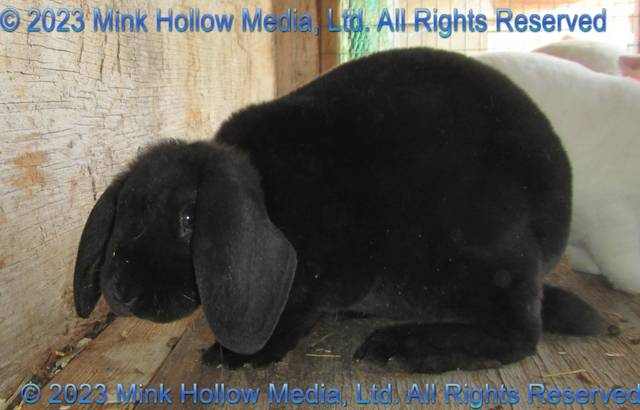 2022-08-01-16-13-02_wm.jpg 2022-08-01-16-13-02_wm.jpg