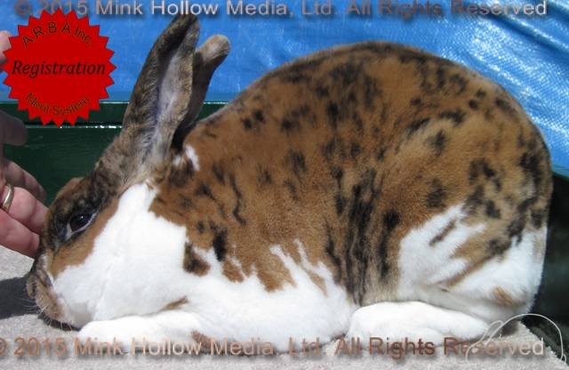 0-main.jpg 0-main.jpg