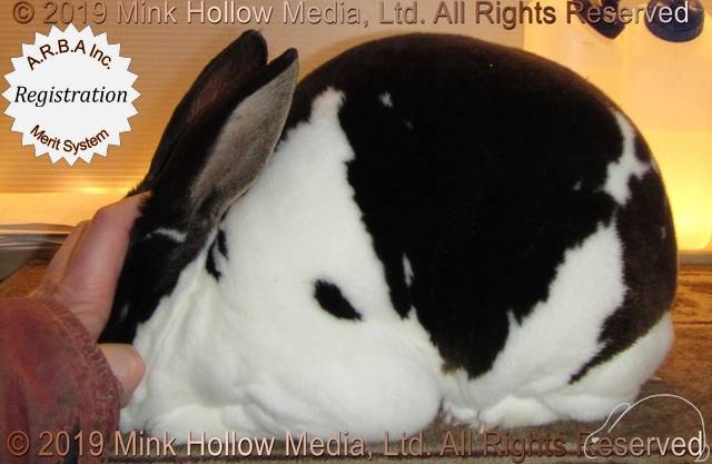 0-main.jpg 0-main.jpg