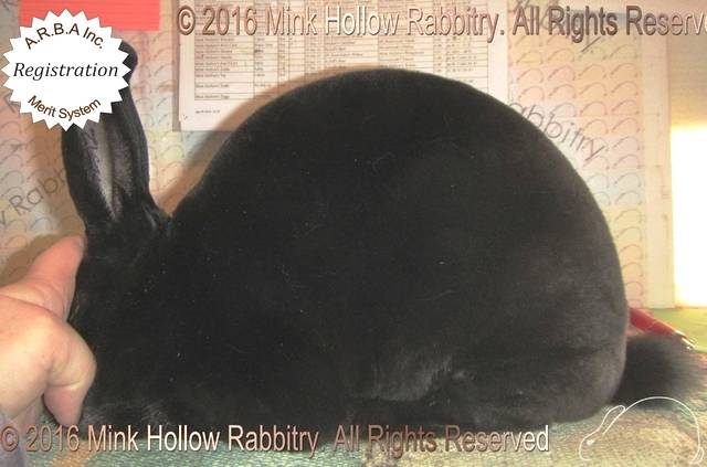 0-main.jpg 0-main.jpg