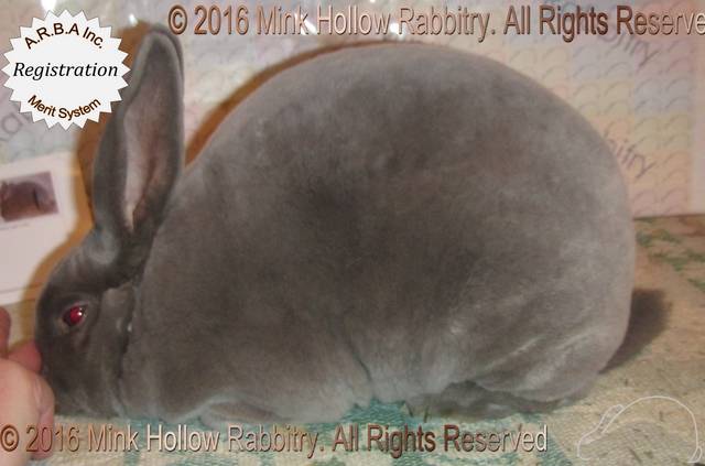 0-main.jpg 0-main.jpg