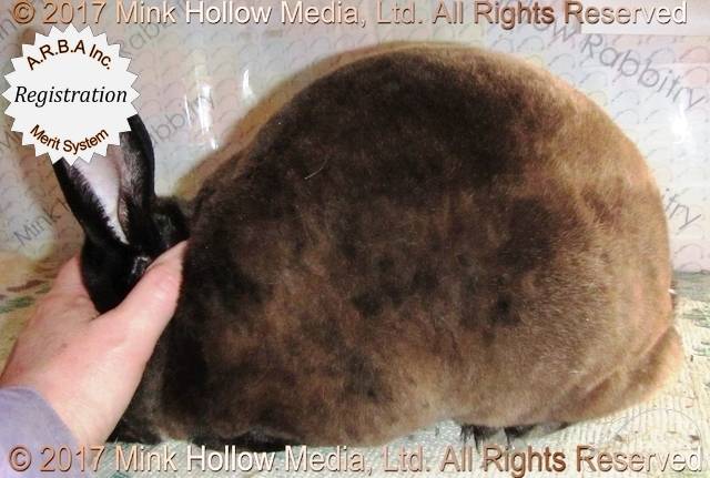 0-main.jpg 0-main.jpg