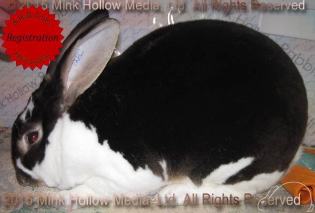 valium-2015-08-06_15-33-45_wm_wm.jpg valium-2015-08-06_15-33-45_wm_wm.jpg