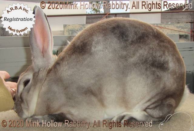 0-main.jpg 0-main.jpg