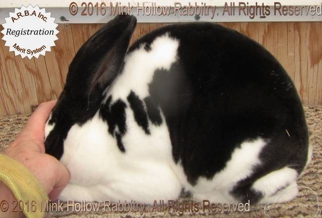 0-main.jpg 0-main.jpg