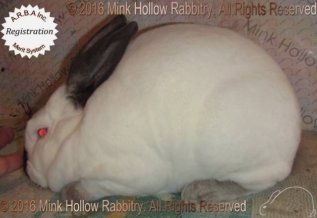 0-main.jpg 0-main.jpg