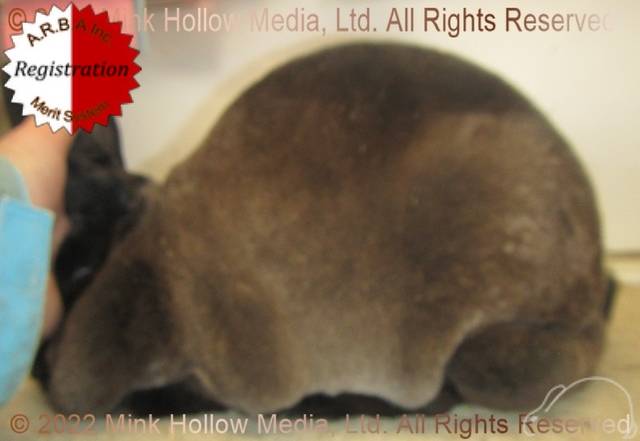 0-main.jpg 0-main.jpg