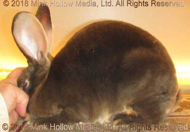 0-main.jpg 0-main.jpg