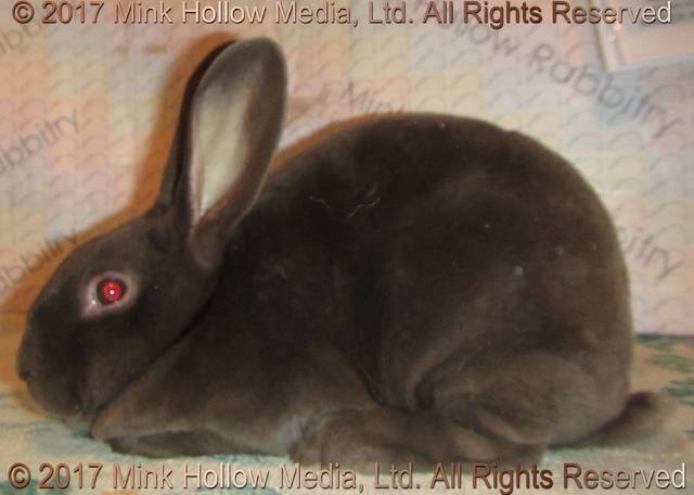 0-main.jpg 0-main.jpg