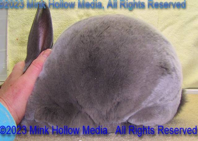 0-main.jpg 0-main.jpg