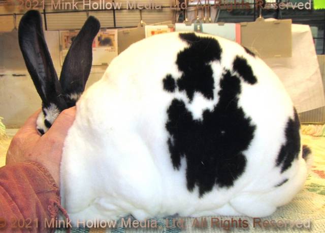 0-main.jpg 0-main.jpg