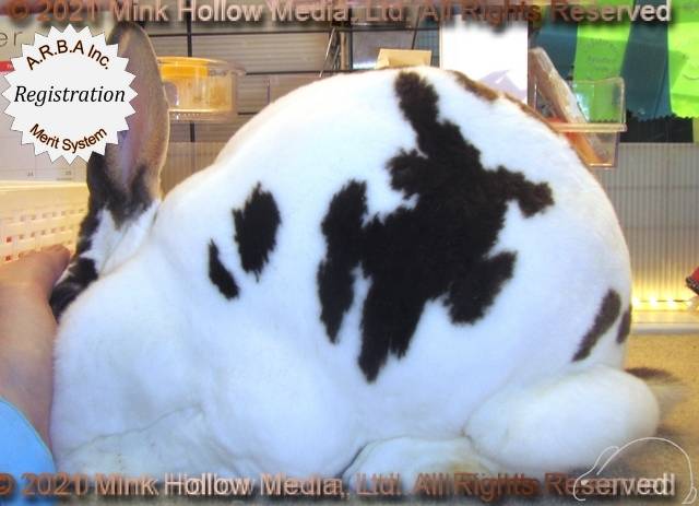 0-main.jpg 0-main.jpg