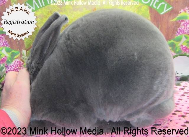 0-main.jpg 0-main.jpg