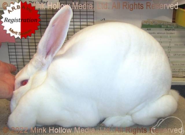 0-main.jpg 0-main.jpg